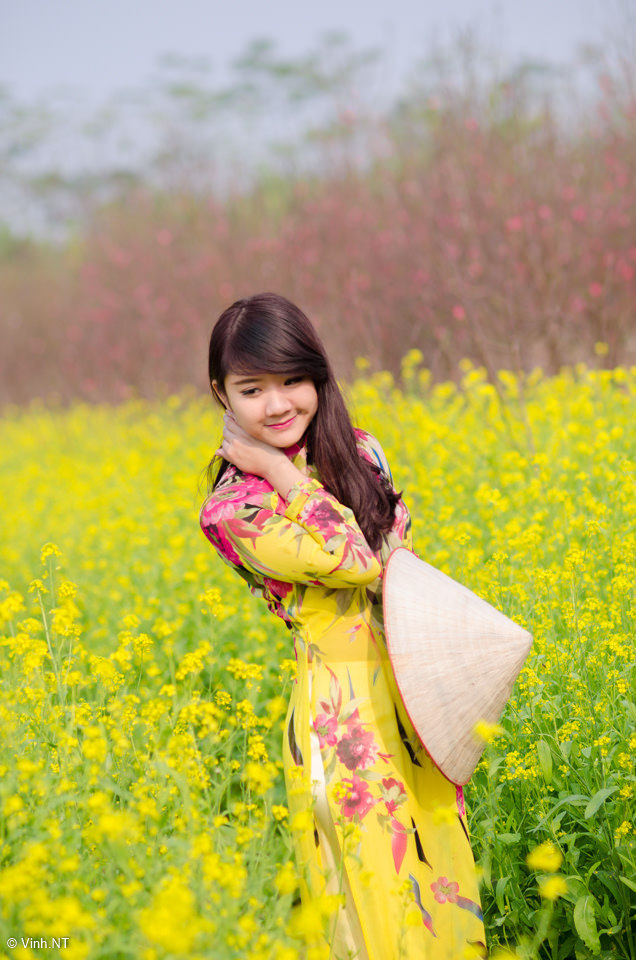 女人的战争在线